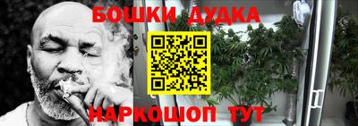 индика Кунгур