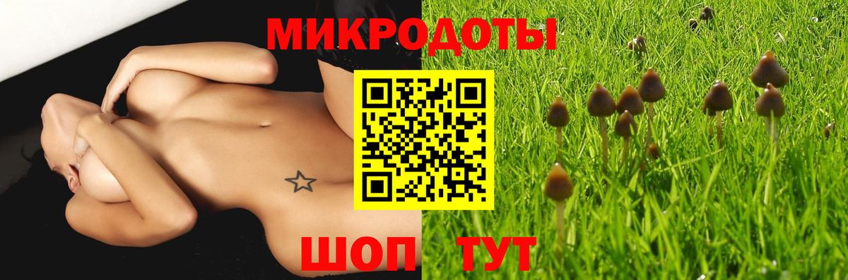 Псилоцибиновые грибы Psilocybe  Галлюциногенные грибы Psilocybine cubensis  Вход с VPN  Клинцы 